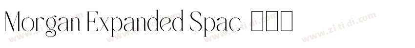 Morgan Expanded Spac字体转换